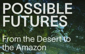 Environmental Wellbeing Initiatives